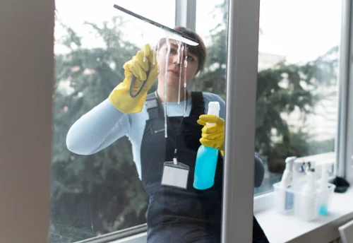 Nettoyage de vitres intérieures et extérieures à Allogny